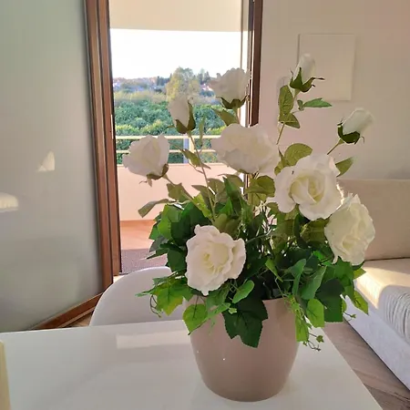 Casa Chia דירה